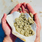 French Sea Salt + Kelp Body Scrub